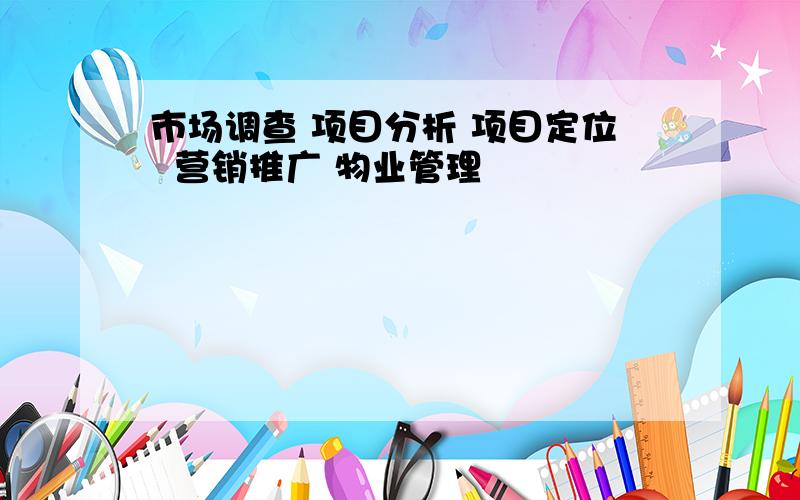 市场调查 项目分析 项目定位  营销推广 物业管理