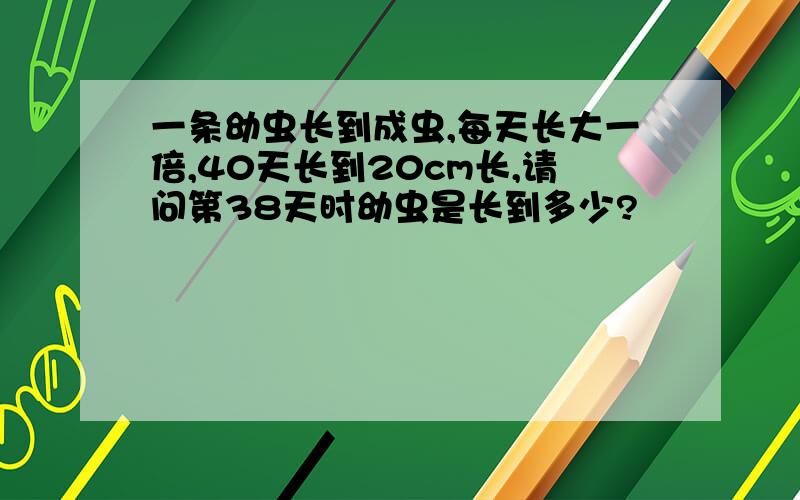 一条幼虫长到成虫,每天长大一倍,40天长到20cm长,请问第38天时幼虫是长到多少?