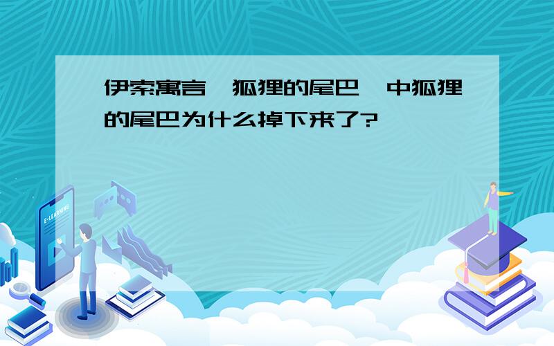 伊索寓言《狐狸的尾巴》中狐狸的尾巴为什么掉下来了?