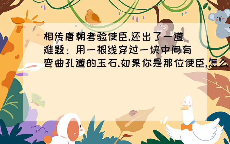 相传唐朝考验使臣,还出了一道难题：用一根线穿过一块中间有弯曲孔道的玉石.如果你是那位使臣,怎么办?