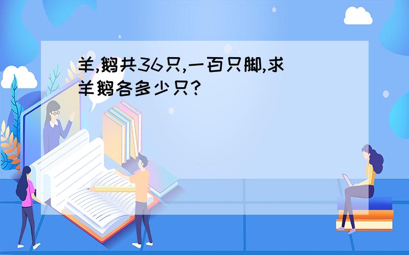 羊,鹅共36只,一百只脚,求羊鹅各多少只?