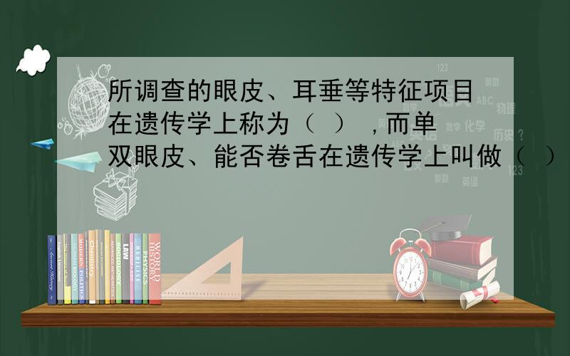 所调查的眼皮、耳垂等特征项目在遗传学上称为（ ） ,而单双眼皮、能否卷舌在遗传学上叫做（ ）