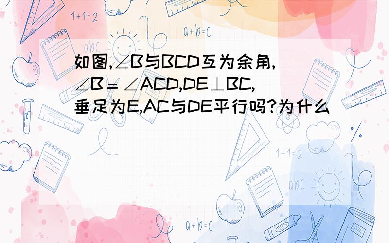 如图,∠B与BCD互为余角,∠B＝∠ACD,DE⊥BC,垂足为E,AC与DE平行吗?为什么