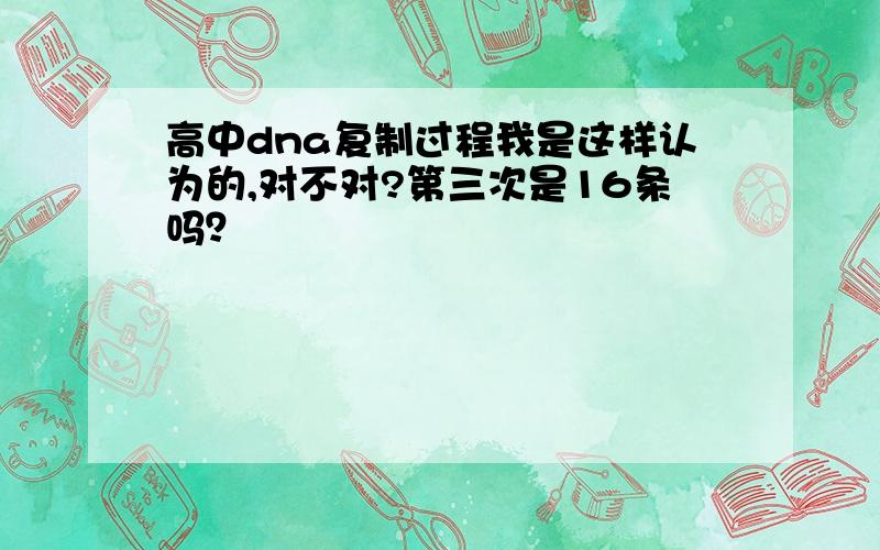 高中dna复制过程我是这样认为的,对不对?第三次是16条吗？