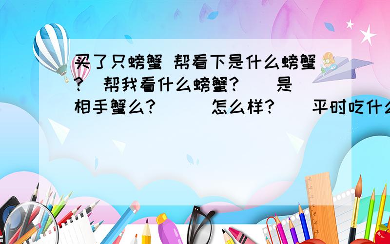 买了只螃蟹 帮看下是什么螃蟹?  帮我看什么螃蟹?　　是相手蟹么?　　　怎么样?　　平时吃什么?（要比较容易获得,而且螃蟹喜欢吃的食物）     我给了它点苹果    看他也不吃     朋友说螃