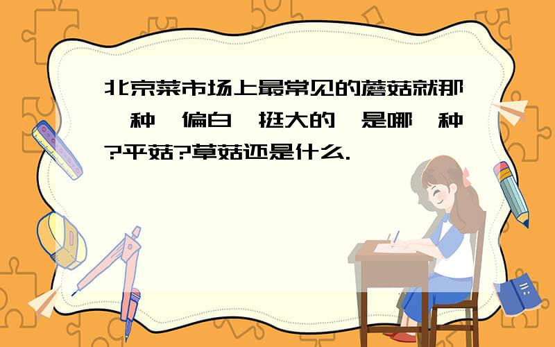 北京菜市场上最常见的蘑菇就那一种,偏白,挺大的,是哪一种?平菇?草菇还是什么.