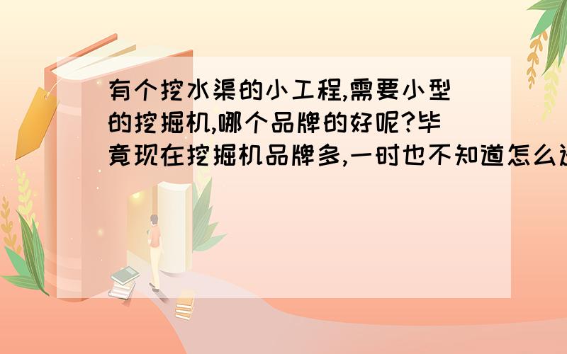 有个挖水渠的小工程,需要小型的挖掘机,哪个品牌的好呢?毕竟现在挖掘机品牌多,一时也不知道怎么选好,所以想问问大家.