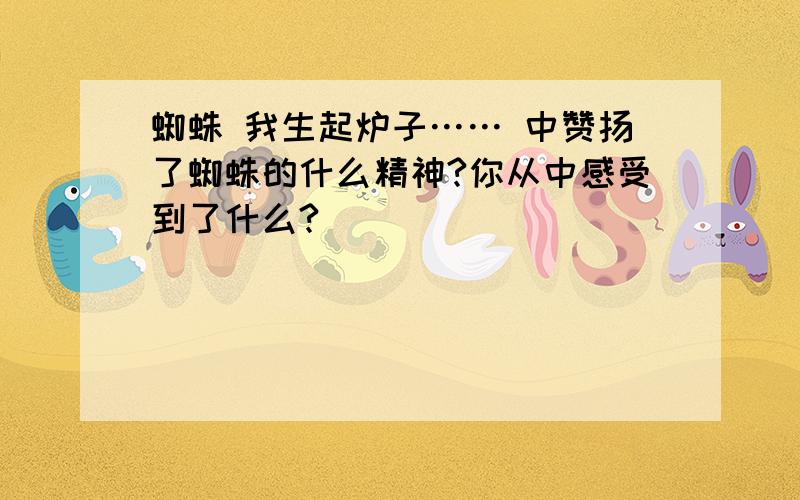 蜘蛛 我生起炉子…… 中赞扬了蜘蛛的什么精神?你从中感受到了什么?