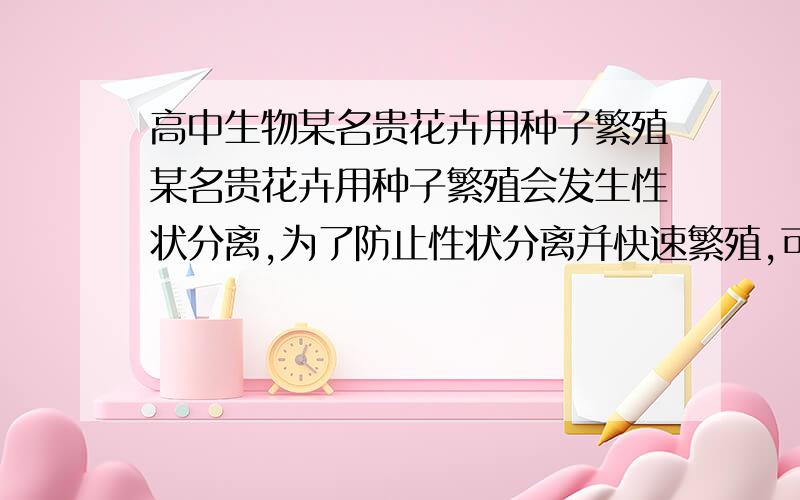 高中生物某名贵花卉用种子繁殖某名贵花卉用种子繁殖会发生性状分离,为了防止性状分离并快速繁殖,可以利用该植物体的一部分器官或组织进行离休培养,发育出完整的植株,进行离体培养时