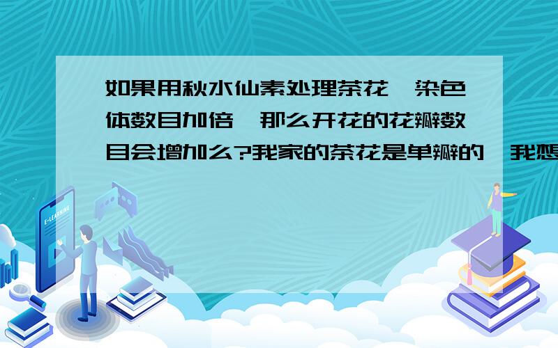 如果用秋水仙素处理茶花,染色体数目加倍,那么开花的花瓣数目会增加么?我家的茶花是单瓣的,我想用秋水仙素处理一下,会不会变成重瓣的?有什么方法可以使他变成重瓣的么?