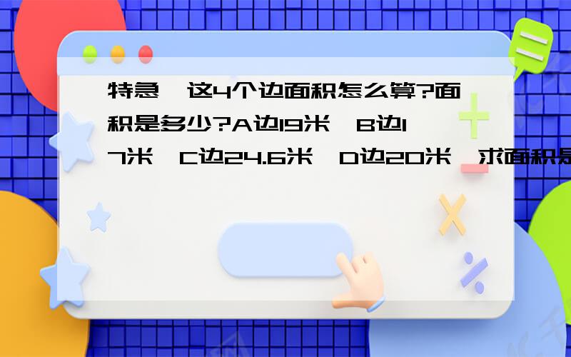 特急,这4个边面积怎么算?面积是多少?A边19米,B边17米,C边24.6米,D边20米,求面积是多少?