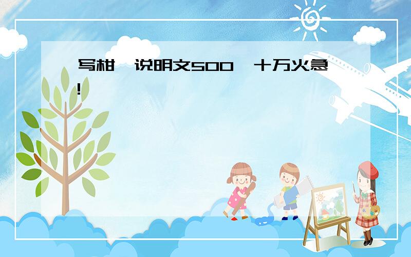 写柑桔说明文500,十万火急!