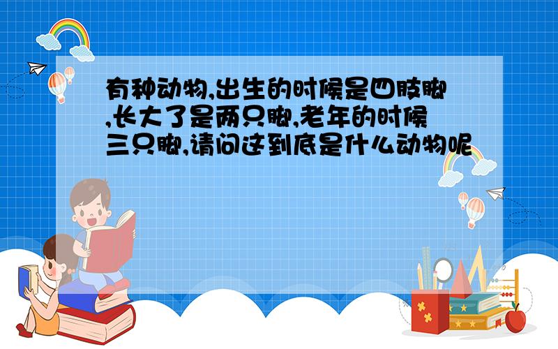 有种动物,出生的时候是四肢脚,长大了是两只脚,老年的时候三只脚,请问这到底是什么动物呢