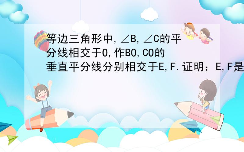 等边三角形中,∠B,∠C的平分线相交于O,作BO,CO的垂直平分线分别相交于E,F.证明：E,F是BC的三等分点在等边三角形ABC中