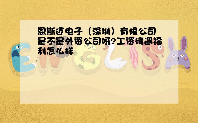 恩斯迈电子（深圳）有限公司 是不是外资公司呀?工资待遇福利怎么样