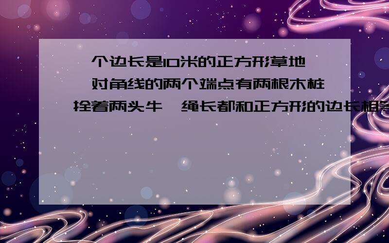 一个边长是10米的正方形草地,对角线的两个端点有两根木桩拴着两头牛,绳长都和正方形的边长相等.两头牛都能吃到草的草地的面积是多少?