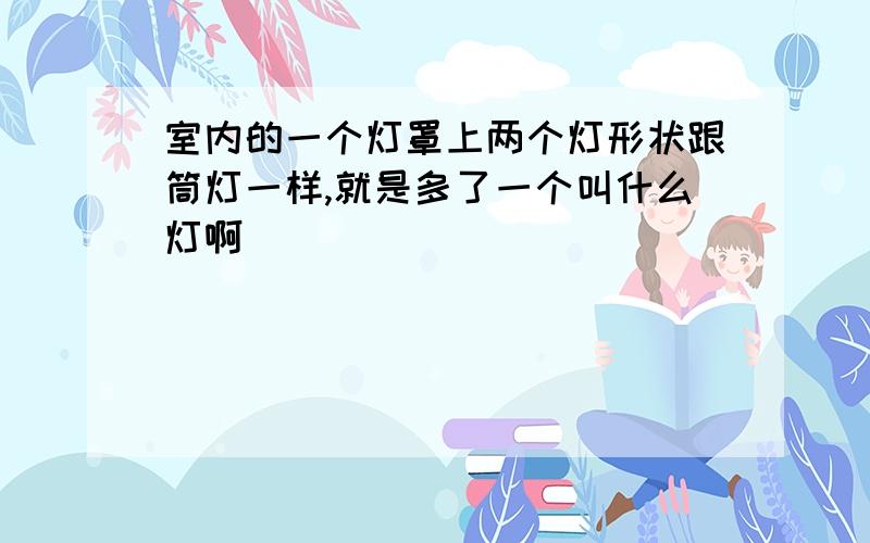 室内的一个灯罩上两个灯形状跟筒灯一样,就是多了一个叫什么灯啊