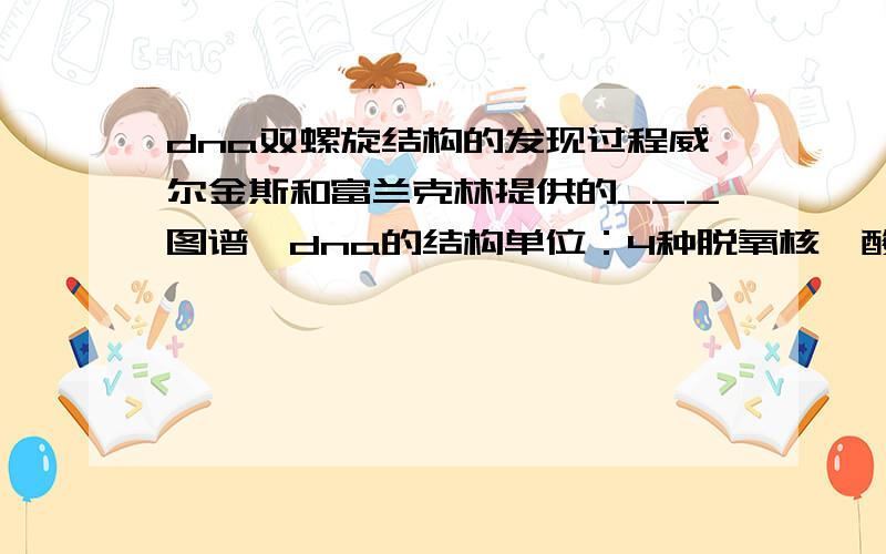 dna双螺旋结构的发现过程威尔金斯和富兰克林提供的___图谱｝dna的结构单位：4种脱氧核苷酸,分别含有______四种碱基沃尔森和克里克推算出dna分子呈_____结构↓╭______位于螺旋的外部╭双螺旋