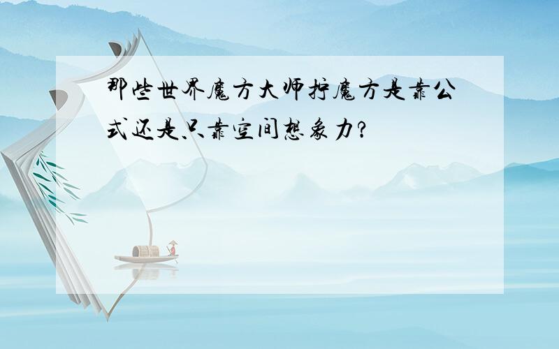 那些世界魔方大师拧魔方是靠公式还是只靠空间想象力?