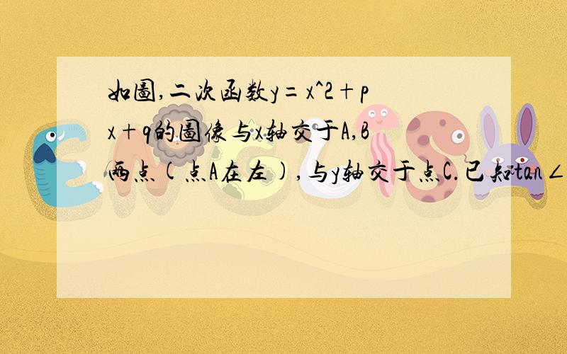 如图,二次函数y=x^2+px+q的图像与x轴交于A,B两点(点A在左),与y轴交于点C.已知tan∠ABC=2,S△ABC=24,求这个二次函数的解析