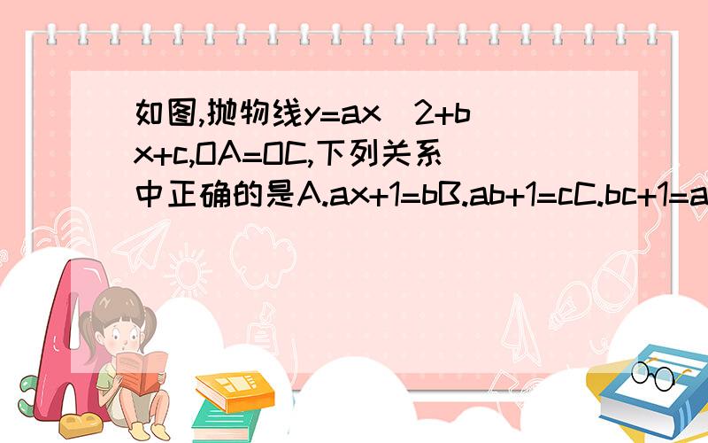 如图,抛物线y=ax^2+bx+c,OA=OC,下列关系中正确的是A.ax+1=bB.ab+1=cC.bc+1=aD.a/b+1=c