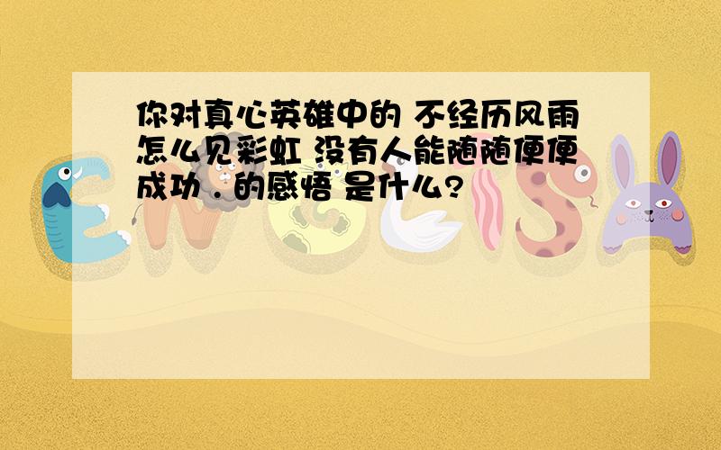 你对真心英雄中的 不经历风雨怎么见彩虹 没有人能随随便便成功 . 的感悟 是什么?