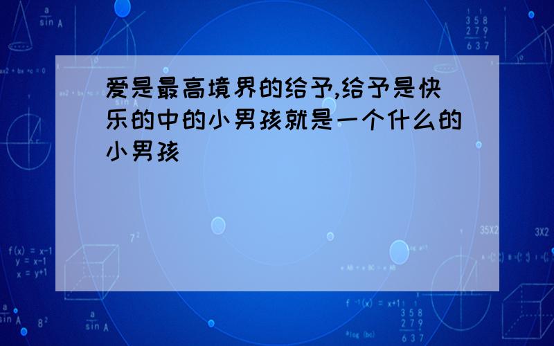 爱是最高境界的给予,给予是快乐的中的小男孩就是一个什么的小男孩