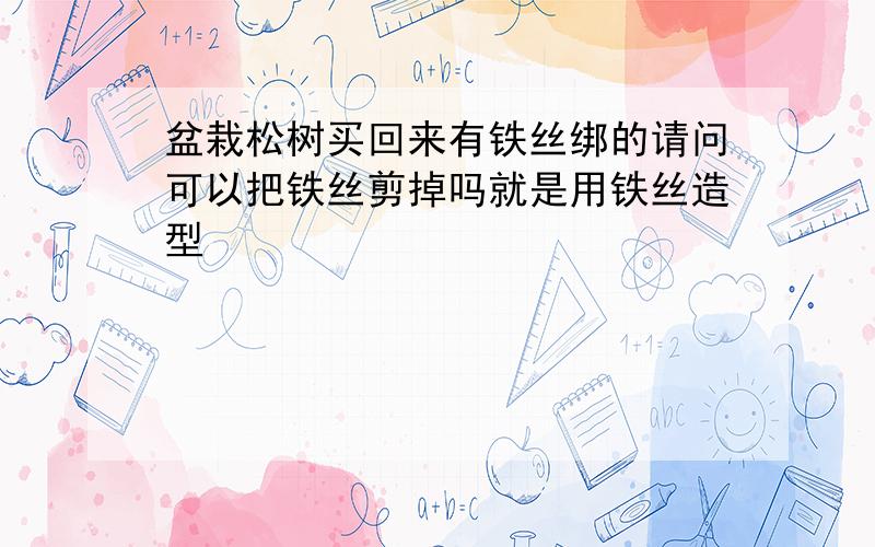 盆栽松树买回来有铁丝绑的请问可以把铁丝剪掉吗就是用铁丝造型