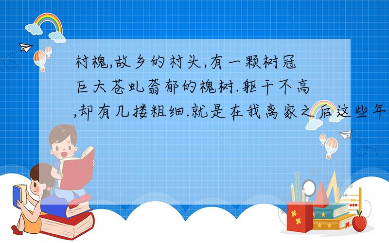 村槐,故乡的村头,有一颗树冠巨大苍虬蓊郁的槐树.躯干不高,却有几搂粗细.就是在我离家之后这些年,也走了不少地方,所见的槐树还很少有可以同故乡村槐媲美的.每行走于山野,或读书于窗下,