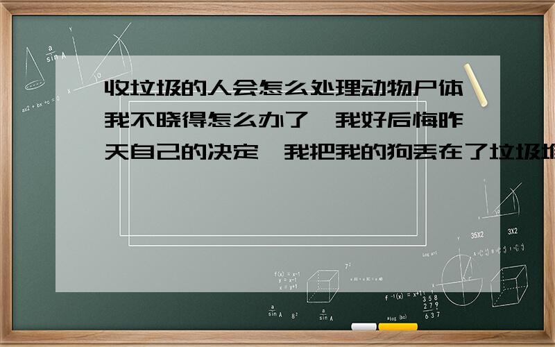 收垃圾的人会怎么处理动物尸体我不晓得怎么办了,我好后悔昨天自己的决定,我把我的狗丢在了垃圾堆,我妈迷信,我很想陪着它,一直到第二天白天把它埋了,可是晚上我不知道该怎么办了,他们