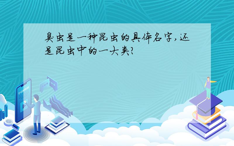 臭虫是一种昆虫的具体名字,还是昆虫中的一大类?