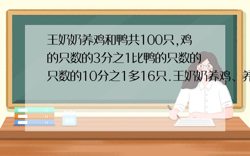 王奶奶养鸡和鸭共100只,鸡的只数的3分之1比鸭的只数的只数的10分之1多16只.王奶奶养鸡、养鸭各多少只?