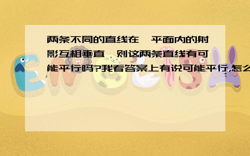 两条不同的直线在一平面内的射影互相垂直,则这两条直线有可能平行吗?我看答案上有说可能平行，怎么可能啊！