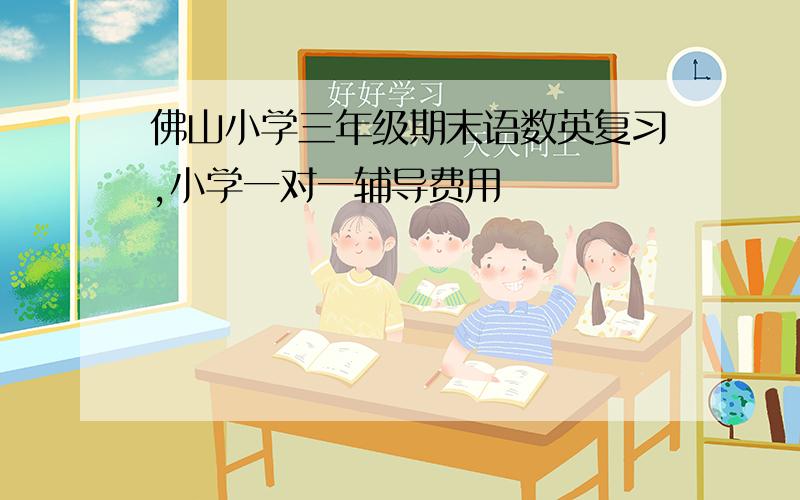 佛山小学三年级期末语数英复习,小学一对一辅导费用