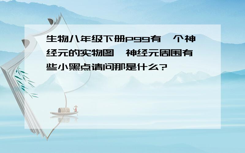 生物八年级下册P99有一个神经元的实物图,神经元周围有一些小黑点请问那是什么?