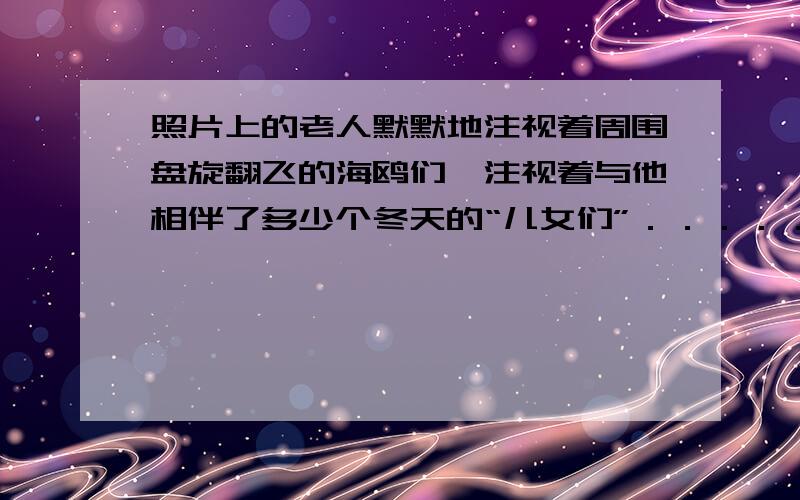 照片上的老人默默地注视着周围盘旋翻飞的海鸥们,注视着与他相伴了多少个冬天的“儿女们”．．．．．．．是属于作者的（不是修辞方法）描写,这样写的目的是（　）句中省略号的作用