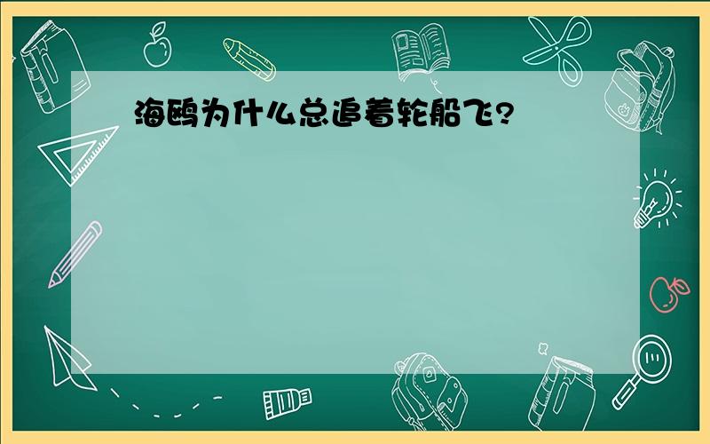 海鸥为什么总追着轮船飞?