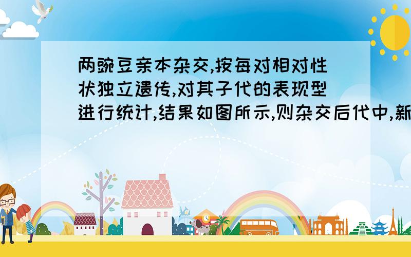 两豌豆亲本杂交,按每对相对性状独立遗传,对其子代的表现型进行统计,结果如图所示,则杂交后代中,新出现的类型占的比例为_______.