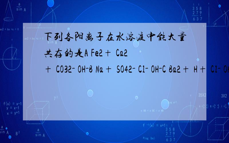 下列各阳离子在水溶液中能大量共存的是A Fe2+ Ca2+ CO32- OH-B Na+ SO42- Cl- OH-C Ba2+ H+ Cl- OH- D Ag+ NH4+ NO3- OH-到底要什么情况下才可共存？可以说下吗？