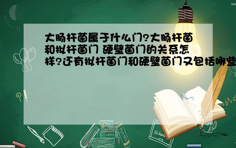 大肠杆菌属于什么门?大肠杆菌和拟杆菌门 硬壁菌门的关系怎样?还有拟杆菌门和硬壁菌门又包括哪些细菌?