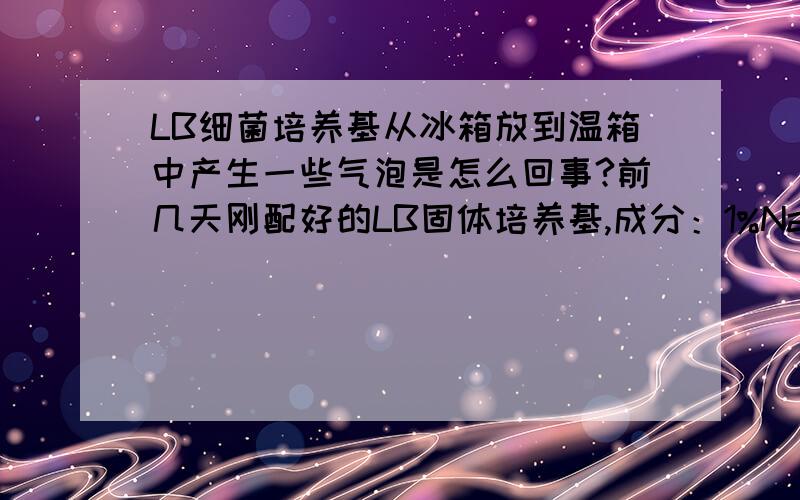 LB细菌培养基从冰箱放到温箱中产生一些气泡是怎么回事?前几天刚配好的LB固体培养基,成分：1%NaCl 0.5%酵母提取物1%胰蛋白胨1.5%琼脂粉高压灭菌后室温放置至55度左右加入氨苄抗生素,混匀后