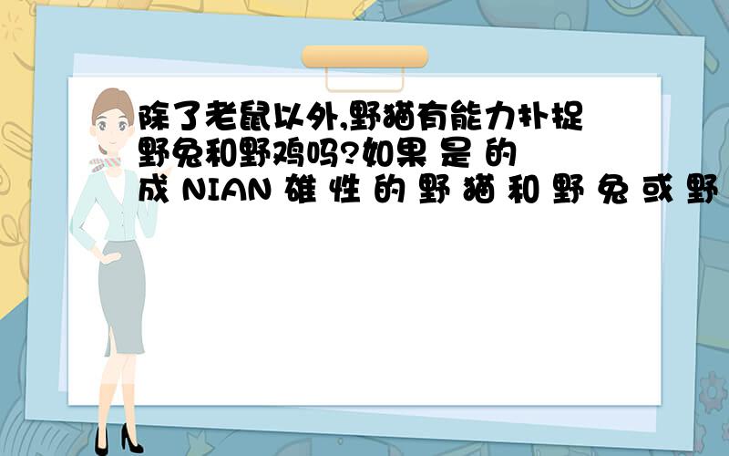 除了老鼠以外,野猫有能力扑捉野兔和野鸡吗?如果 是 的 成 NIAN 雄 性 的 野 猫 和 野 兔 或 野 鸡 PK ,野 猫 能 轻松 取胜 并 杀 SI 野 兔 和 野 鸡 吃 之