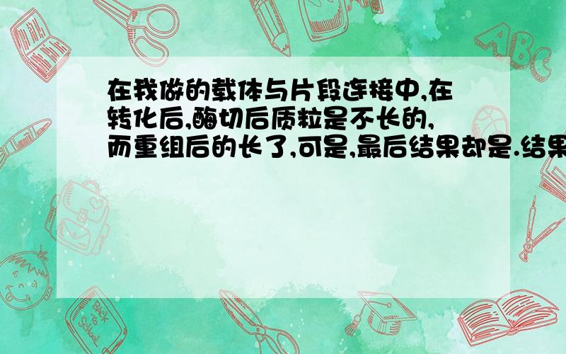 在我做的载体与片段连接中,在转化后,酶切后质粒是不长的,而重组后的长了,可是,最后结果却是.结果是,片段根本没有连进去,连进去的却是一个远远大于我的目的片段的碱基序列,这是为什么