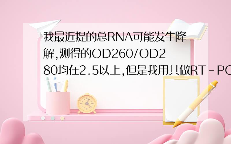 我最近提的总RNA可能发生降解,测得的OD260/OD280均在2.5以上,但是我用其做RT-PCR还是有条带的,我想问的是这样做出的结果是否可靠?RNA发生降解是否影响PCR的真实性?