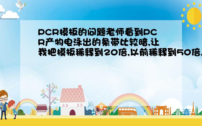 PCR模板的问题老师看到PCR产物电泳出的条带比较暗,让我把模板稀释到20倍,以前稀释到50倍,为什么变小了?