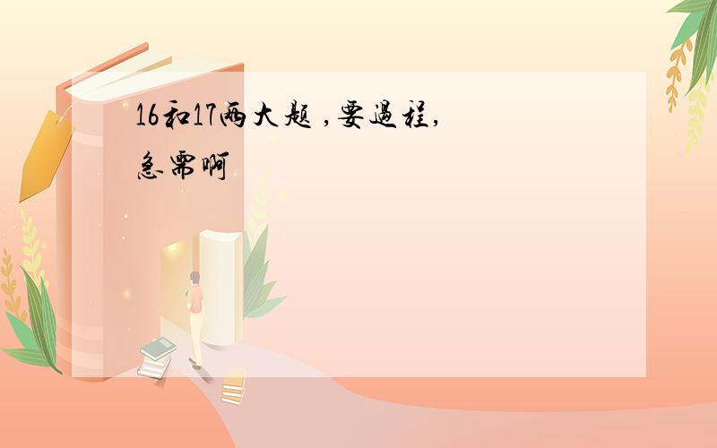 16和17两大题 ,要过程,急需啊