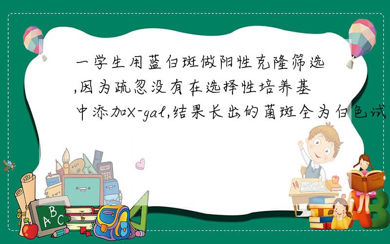 一学生用蓝白斑做阳性克隆筛选,因为疏忽没有在选择性培养基中添加X-gal,结果长出的菌斑全为白色试问：（1）这些白斑是否全为阳性克隆,形成白斑的原理是什么?（2）如果不是,如何从这些