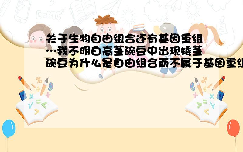 关于生物自由组合还有基因重组…我不明白高茎碗豆中出现矮茎碗豆为什么是自由组合而不属于基因重组?有什么区别吗?