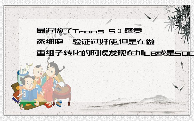 最近做了Trans 5α感受态细胞,验证过好使.但是在做重组子转化的时候发现在加LB或是SOC培养基在37°摇床一小时后有沉淀.我之前做的没有沉淀,这回这个有沉淀是否能用,或是对转化率有影响.