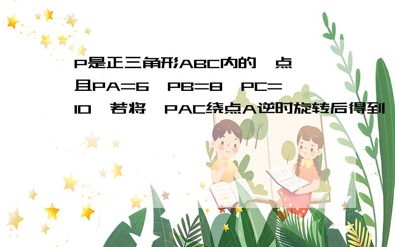 P是正三角形ABC内的一点,且PA=6,PB=8,PC=10,若将△PAC绕点A逆时旋转后得到△P'AB,则点P与点P'间的距离为多少?∠APB等于多少?为什么BPP'这个三角形三边为6，10呢？...汗...好像引起一点误会~先声明，